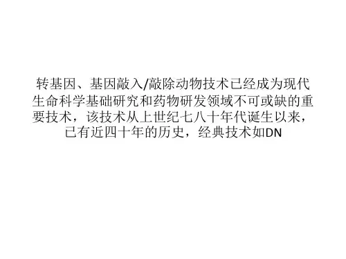 基因敲除小鼠技术专题