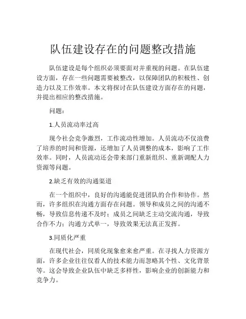 队伍建设存在的问题整改措施