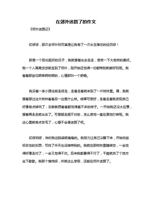在郊外迷路了的作文