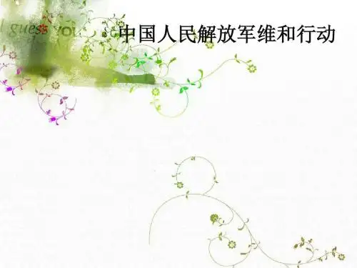 维和行动