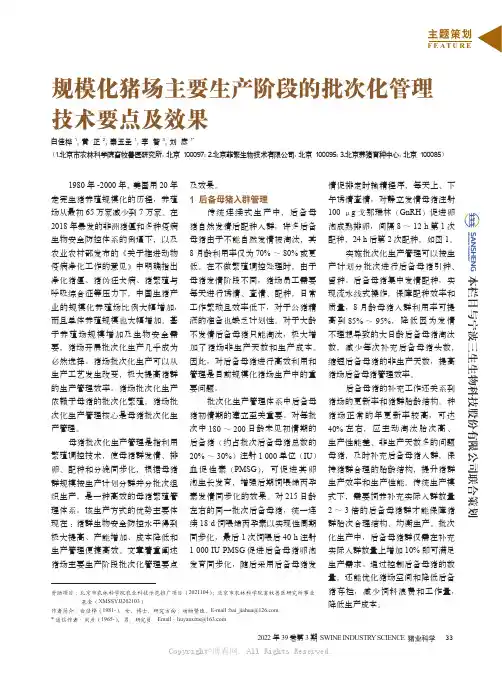 规模化猪场主要生产阶段的批次化管理技术要点及效果