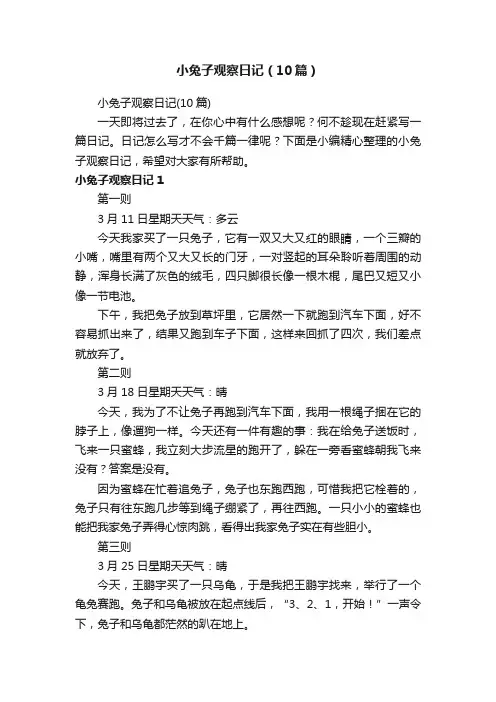 小兔子观察日记（10篇）