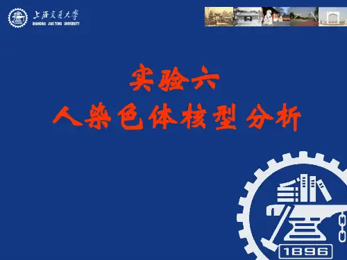 实验六 人类染色体核型分析