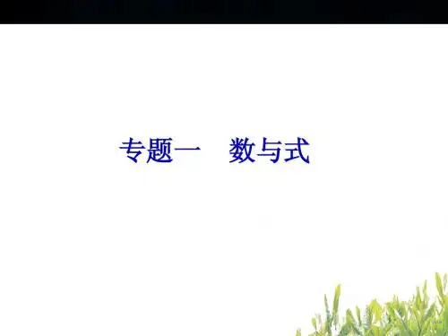 2014年中考数学复习专题一 数与式