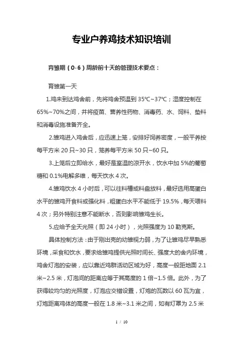 养鸡技术知识培训