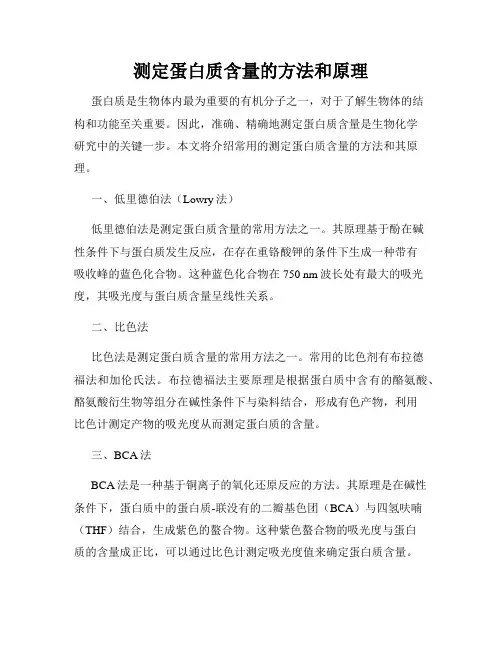 测定蛋白质含量的方法和原理