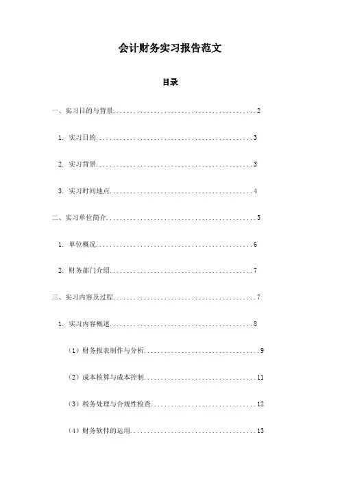 会计财务实习报告范文