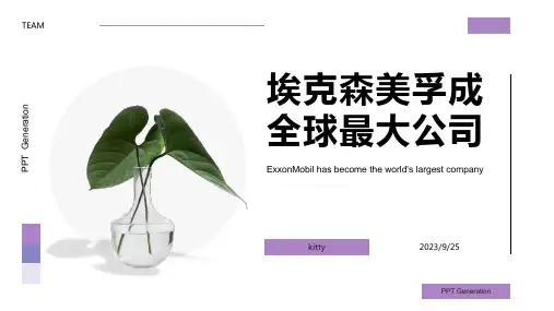 2023年埃克森美孚成为全球市值最大公司报告模板