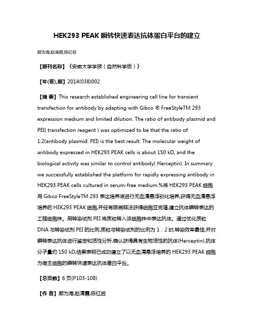 HEK293 PEAK瞬转快速表达抗体蛋白平台的建立