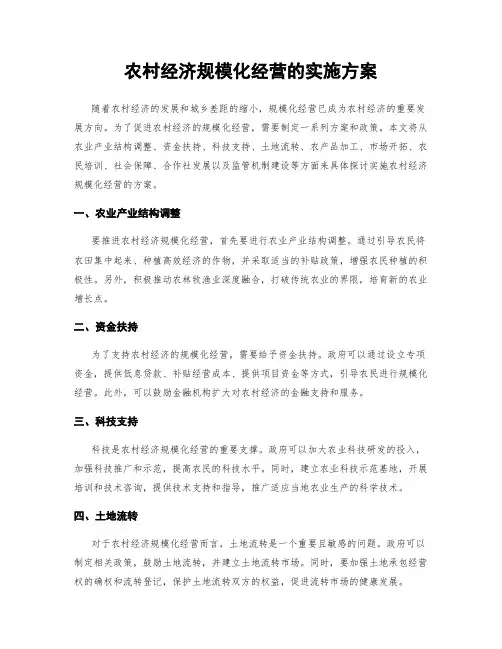 农村经济规模化经营的实施方案