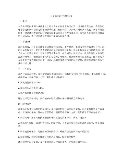 合资公司运营规划方案