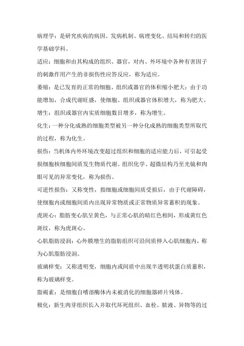 病理名解