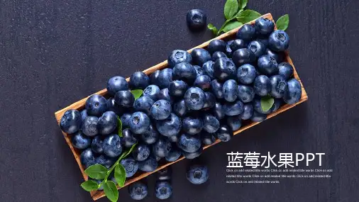 水果蓝莓PPT课件