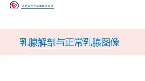 1乳腺生理与解剖