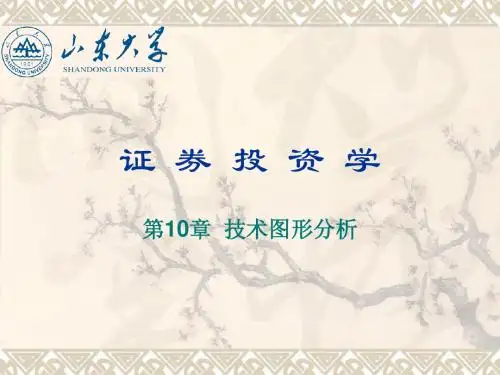 第10章 技术图形分析改