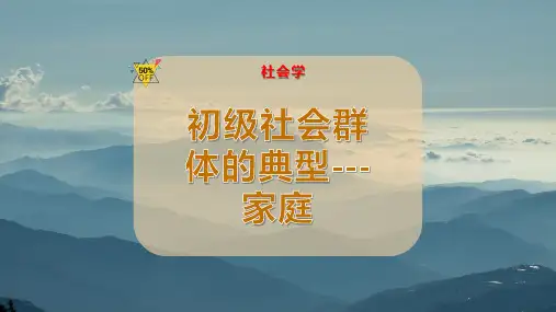 初级社会群体的典型--- 家庭