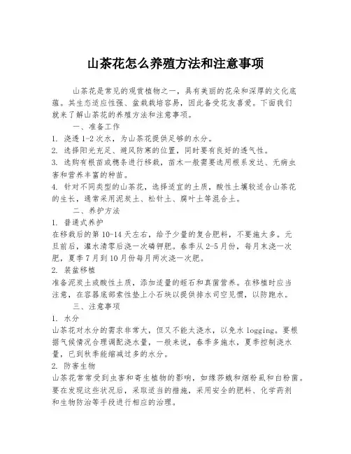 山茶花怎么养殖方法和注意事项