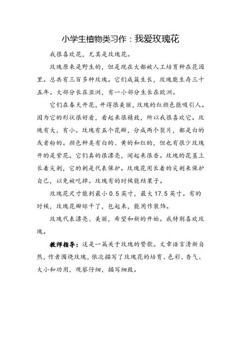 小学生植物类习作：我爱玫瑰花