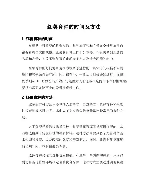 红薯育种的时间及方法
