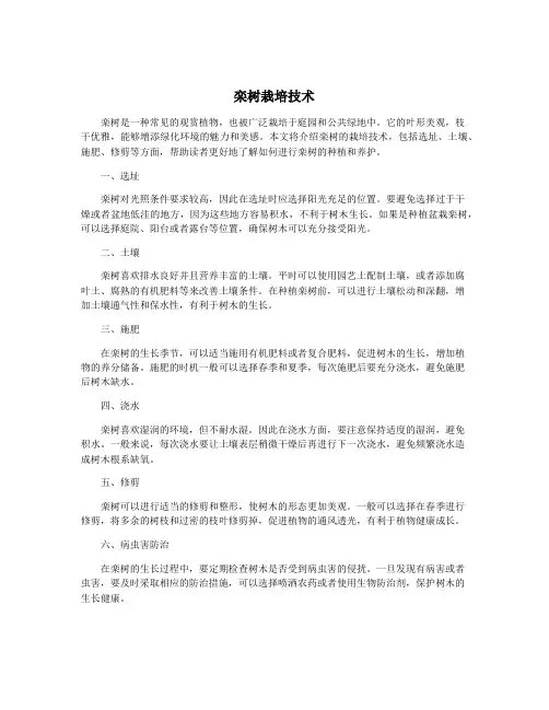 栾树栽培技术
