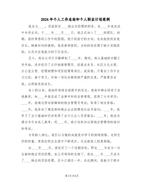 2024年个人工作总结和个人职业计划范例（3篇）