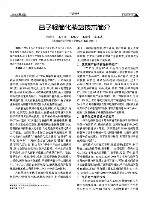 谷子轻简化栽培技术简介