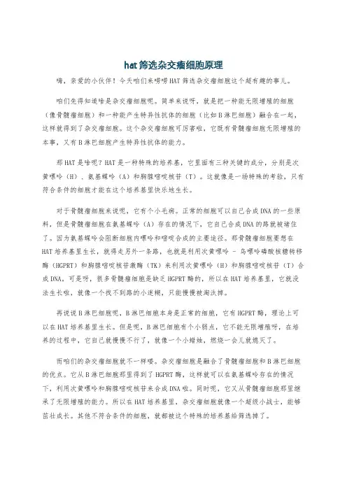 hat筛选杂交瘤细胞原理