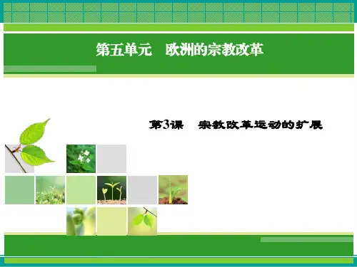 历史(人教版选修1)课件5.3宗教改革运动的扩展