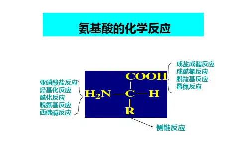氨基酸的化学反应