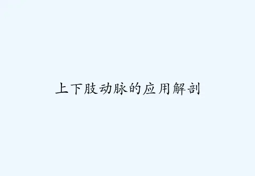 上下肢动脉的应用解剖-PPT