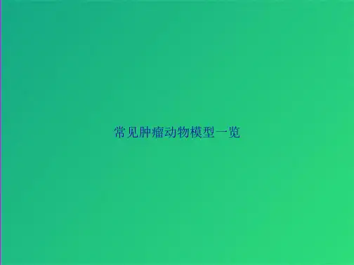 常见肿瘤动物模型一览(共30张PPT)