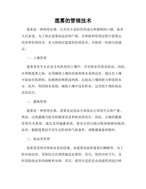 莲雾的管理技术