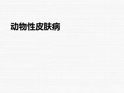 皮肤性病学课件：动物性皮肤病