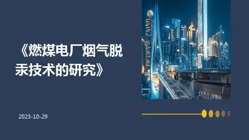 燃煤电厂烟气脱汞技术的研究