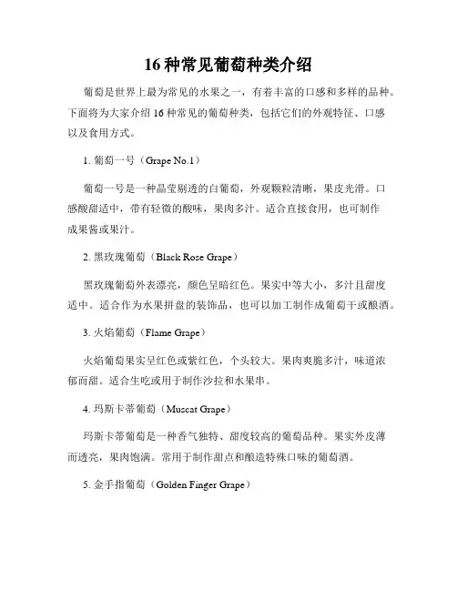 16种常见葡萄种类介绍