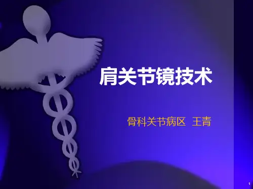 肩关节镜技术PPT课件