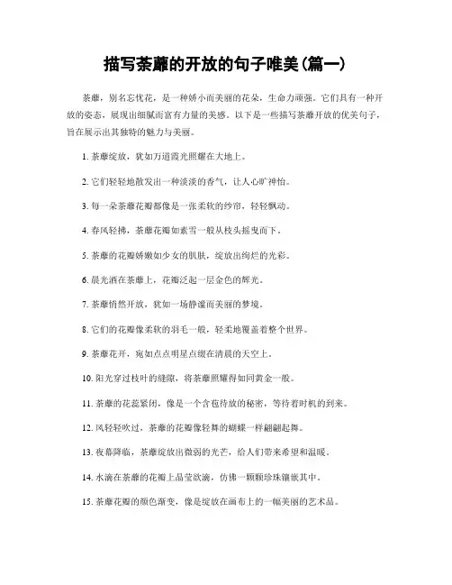 描写荼蘼的开放的句子唯美(精选合集2篇)