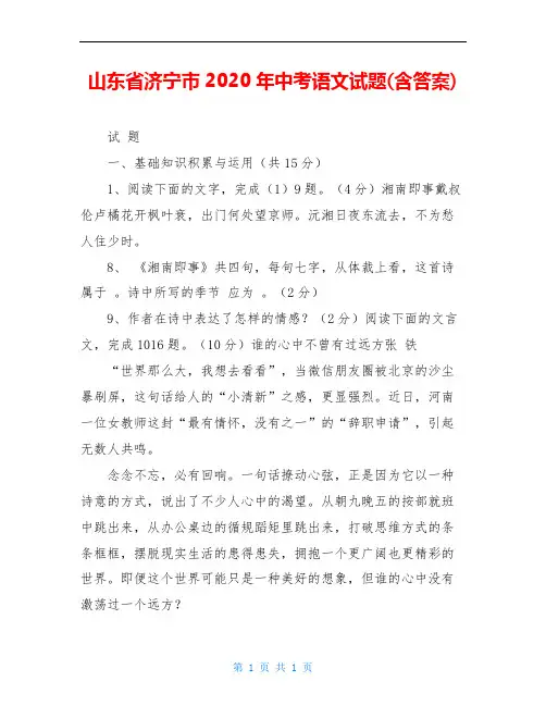山东省济宁市2020年中考语文试题(含答案)
