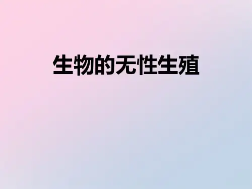 2021年《生物的无性生殖》PPT文档