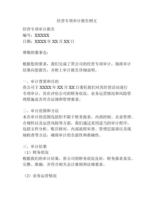 经营专项审计报告例文