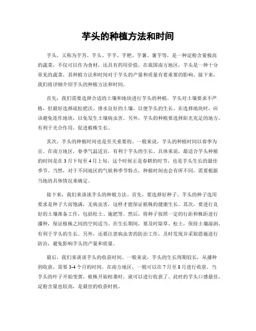 芋头的种植方法和时间