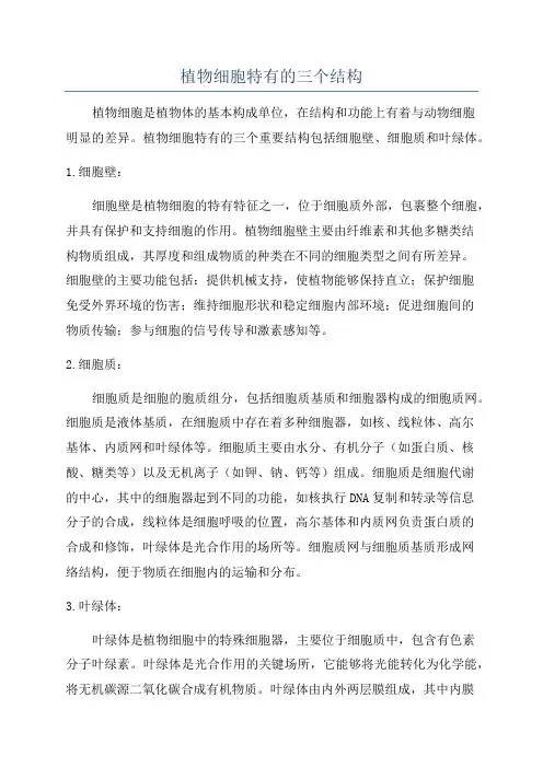 植物细胞特有的三个结构