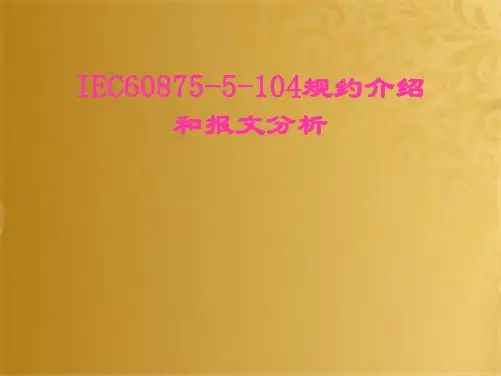 IEC104规约介绍和报文分析(共48张PPT)