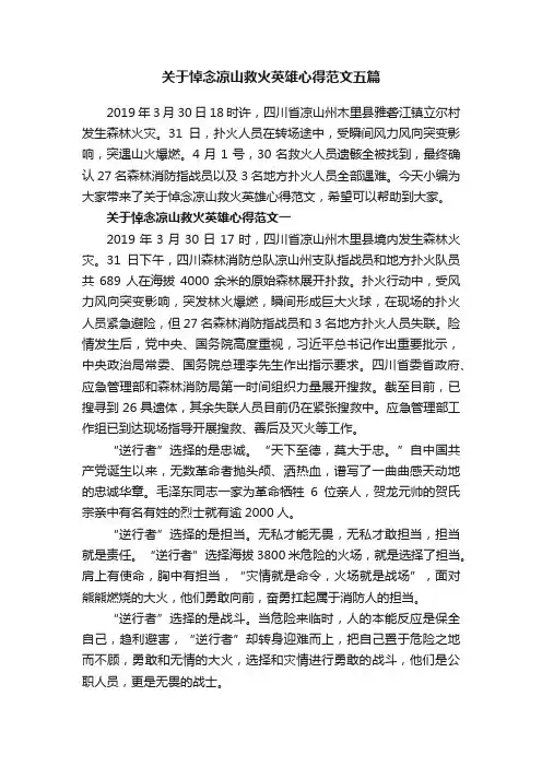 关于悼念凉山救火英雄心得范文五篇