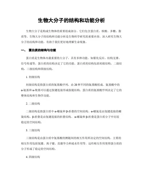 生物大分子的结构和功能分析