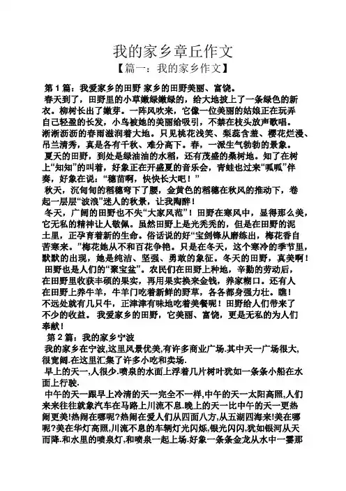 作文范文之我的家乡章丘作文