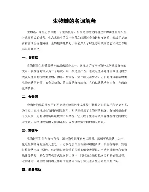 生物链的名词解释