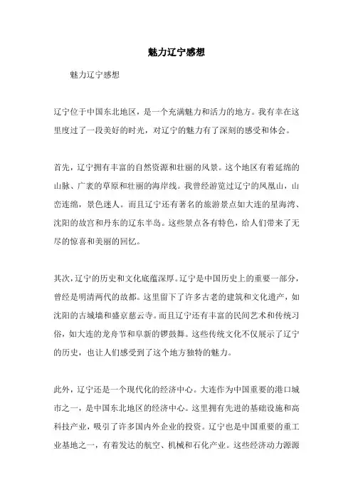 魅力辽宁感想
