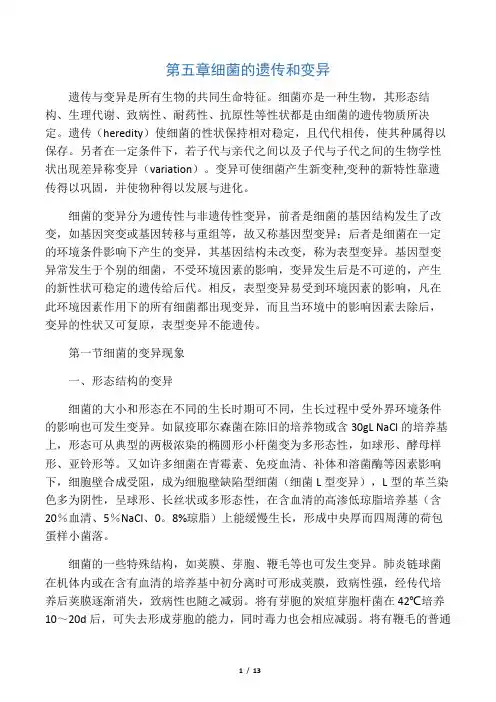 第五章 细菌的遗传和变异