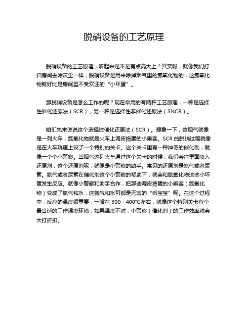 脱硝设备的工艺原理
